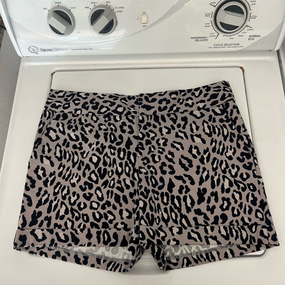 Leopard Print Women's Shorts - Picture 1 of 3